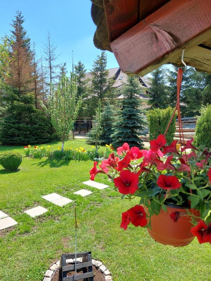 Apartmani Nika Zlatibor Ngoại thất bức ảnh
